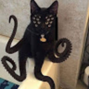 Meet your Posher, Noah